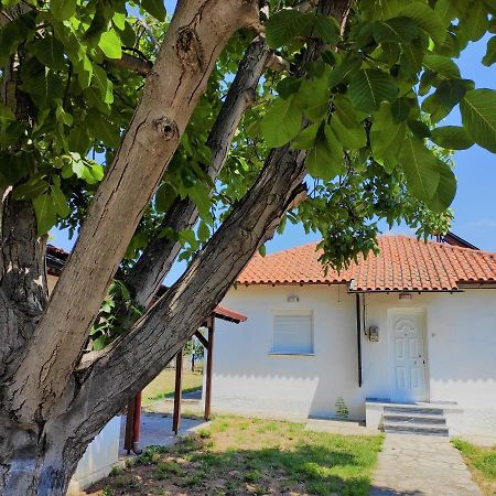 Villa White Clam Vintage House With Sea View & Garden à Makrigialos Extérieur photo