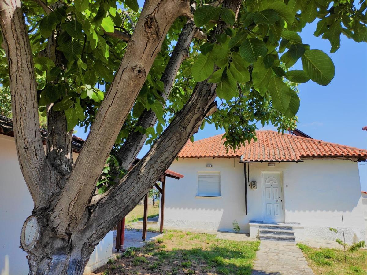 Villa White Clam Vintage House With Sea View & Garden à Makrigialos Extérieur photo